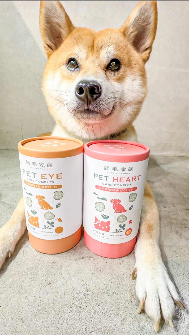 女人知己試用大隊,口碑行銷,部落客行銷,歸毛家族 Good寶寵物保健品,護心寶,視力寶,好吸收的小分子劑型,專業營養師團隊,堅持完整複方,多項國際專利認證,巴西綠蜂膠,游離型葉黃素,保持眼睛明亮,保護視力,專利蚓激酶,輔酵素Q10,幫助血液循環,心血管保健