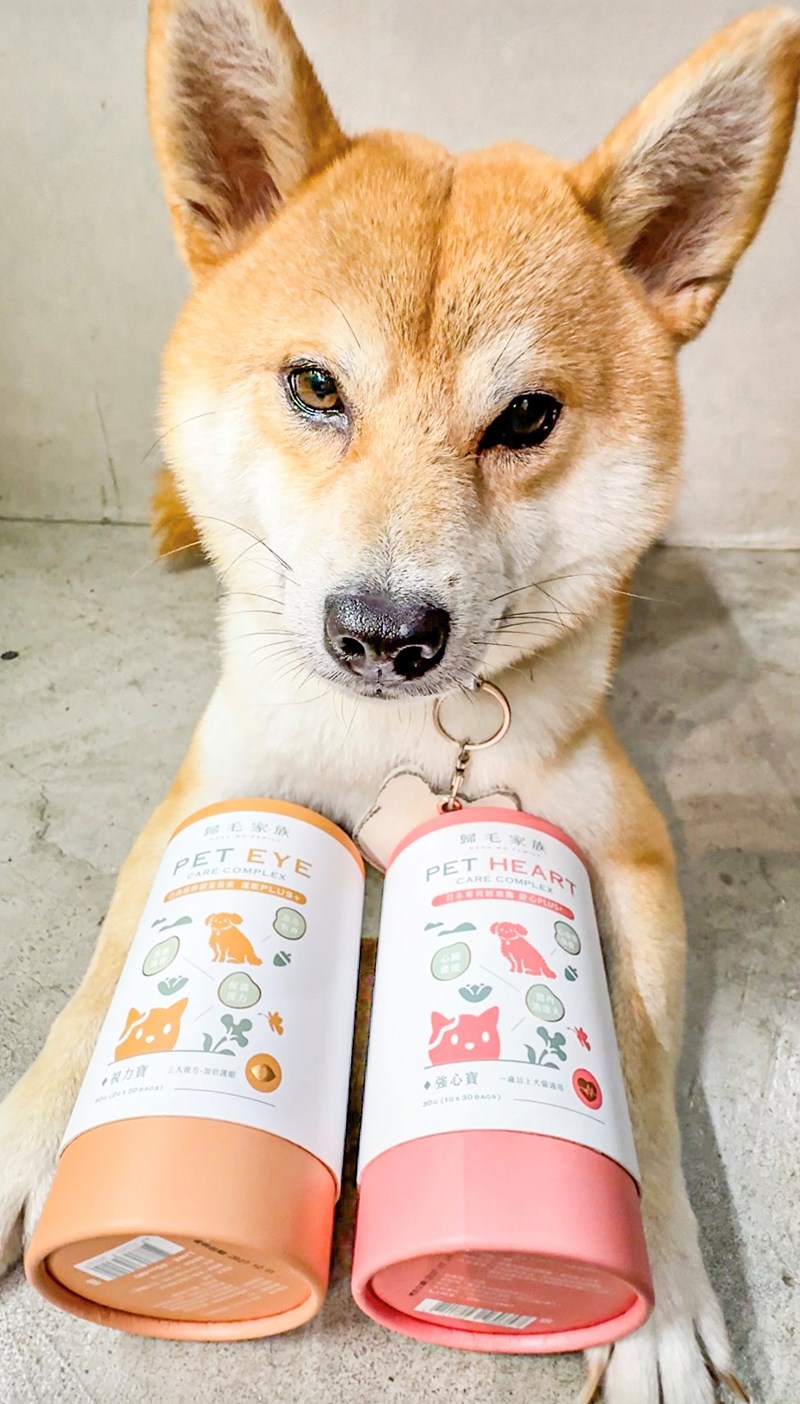 女人知己試用大隊,口碑行銷,部落客行銷,歸毛家族 Good寶寵物保健品,護心寶,視力寶,好吸收的小分子劑型,專業營養師團隊,堅持完整複方,多項國際專利認證,巴西綠蜂膠,游離型葉黃素,保持眼睛明亮,保護視力,專利蚓激酶,輔酵素Q10,幫助血液循環,心血管保健