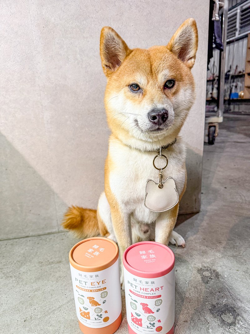 女人知己試用大隊,口碑行銷,部落客行銷,歸毛家族 Good寶寵物保健品,護心寶,視力寶,好吸收的小分子劑型,專業營養師團隊,堅持完整複方,多項國際專利認證,巴西綠蜂膠,游離型葉黃素,保持眼睛明亮,保護視力,專利蚓激酶,輔酵素Q10,幫助血液循環,心血管保健