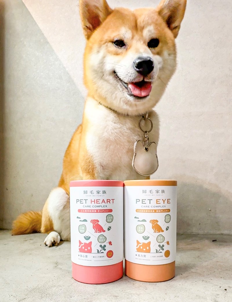 女人知己試用大隊,口碑行銷,部落客行銷,歸毛家族 Good寶寵物保健品,護心寶,視力寶,好吸收的小分子劑型,專業營養師團隊,堅持完整複方,多項國際專利認證,巴西綠蜂膠,游離型葉黃素,保持眼睛明亮,保護視力,專利蚓激酶,輔酵素Q10,幫助血液循環,心血管保健