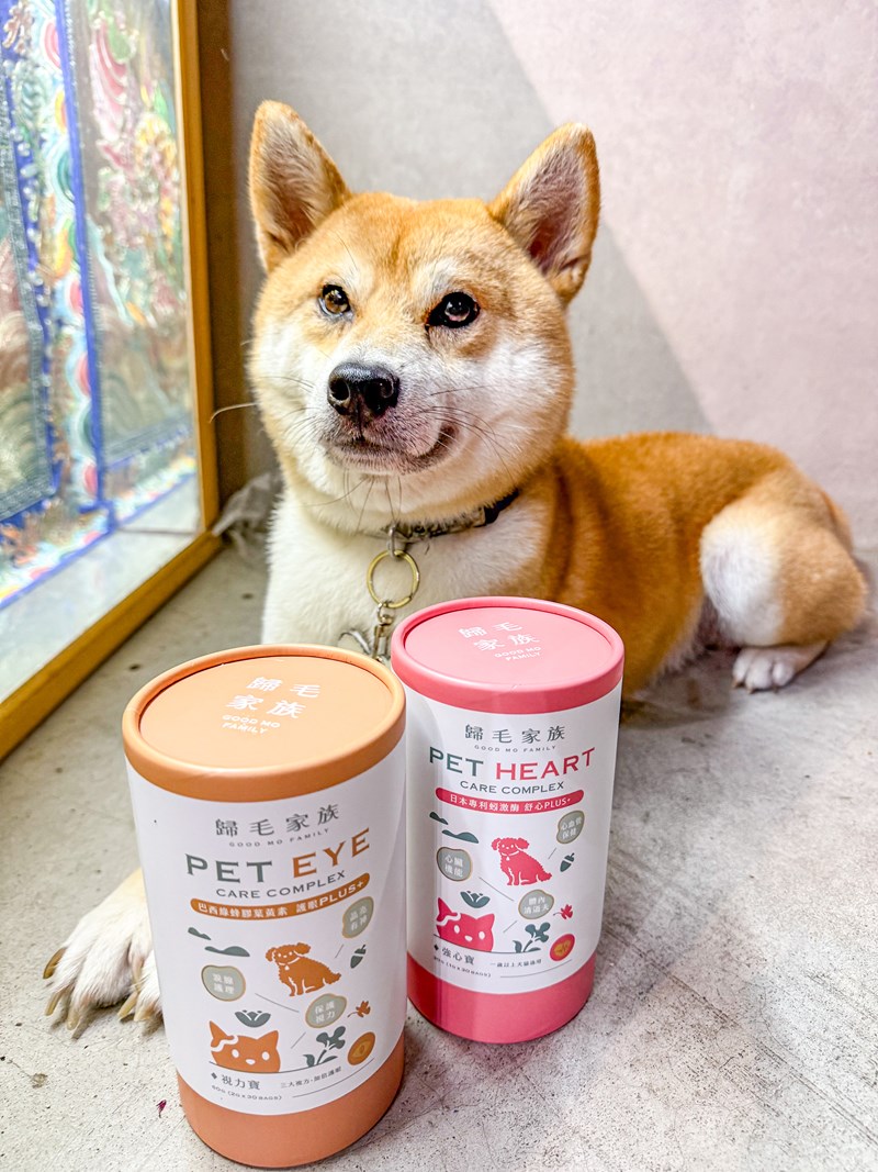 女人知己試用大隊,口碑行銷,部落客行銷,歸毛家族 Good寶寵物保健品,護心寶,視力寶,好吸收的小分子劑型,專業營養師團隊,堅持完整複方,多項國際專利認證,巴西綠蜂膠,游離型葉黃素,保持眼睛明亮,保護視力,專利蚓激酶,輔酵素Q10,幫助血液循環,心血管保健