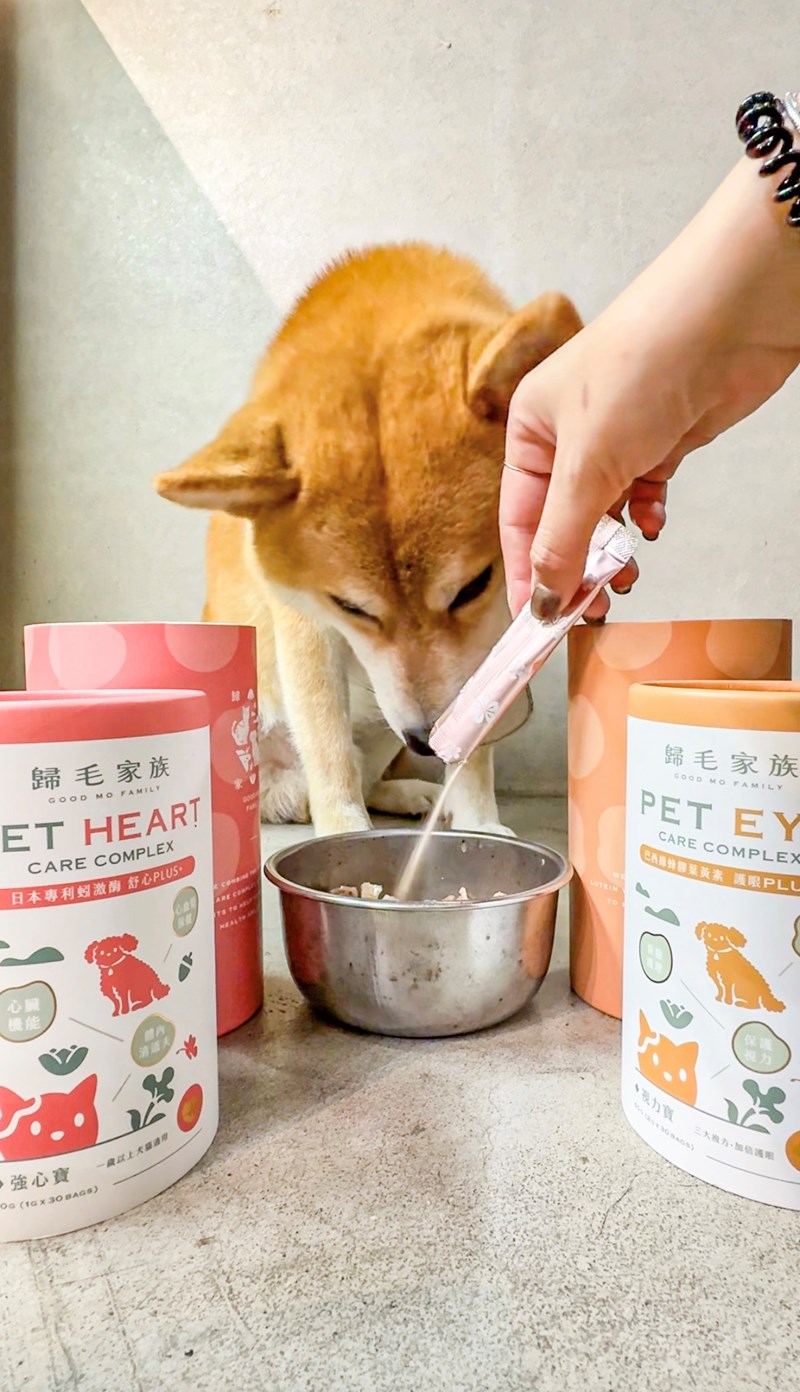 女人知己試用大隊,口碑行銷,部落客行銷,歸毛家族 Good寶寵物保健品,護心寶,視力寶,好吸收的小分子劑型,專業營養師團隊,堅持完整複方,多項國際專利認證,巴西綠蜂膠,游離型葉黃素,保持眼睛明亮,保護視力,專利蚓激酶,輔酵素Q10,幫助血液循環,心血管保健