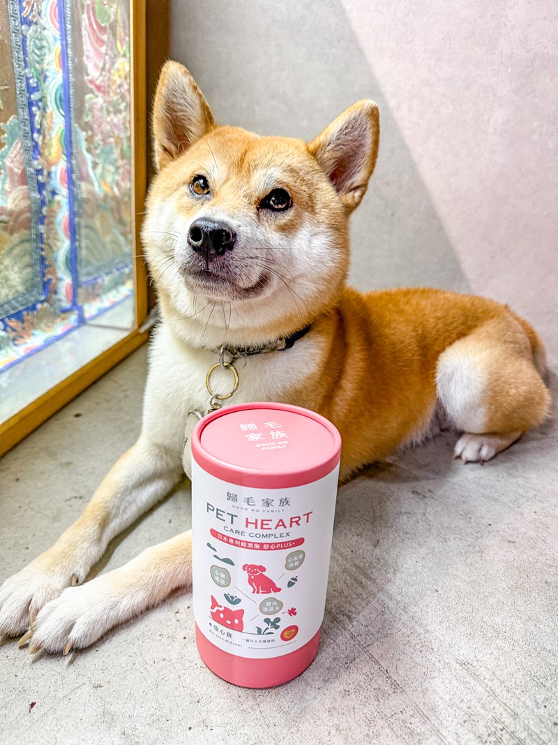 女人知己試用大隊,口碑行銷,部落客行銷,歸毛家族 Good寶寵物保健品,護心寶,視力寶,好吸收的小分子劑型,專業營養師團隊,堅持完整複方,多項國際專利認證,巴西綠蜂膠,游離型葉黃素,保持眼睛明亮,保護視力,專利蚓激酶,輔酵素Q10,幫助血液循環,心血管保健