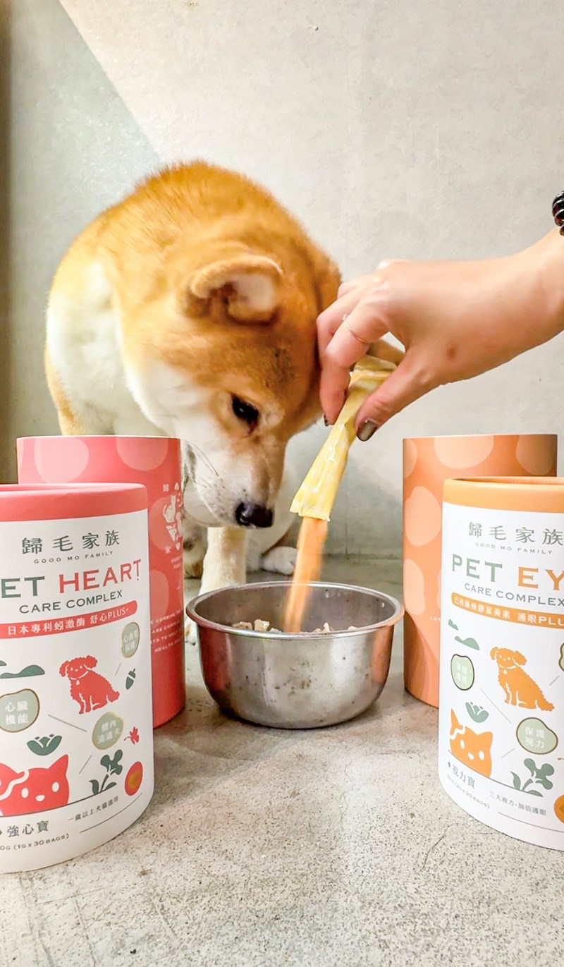 女人知己試用大隊,口碑行銷,部落客行銷,歸毛家族 Good寶寵物保健品,護心寶,視力寶,好吸收的小分子劑型,專業營養師團隊,堅持完整複方,多項國際專利認證,巴西綠蜂膠,游離型葉黃素,保持眼睛明亮,保護視力,專利蚓激酶,輔酵素Q10,幫助血液循環,心血管保健