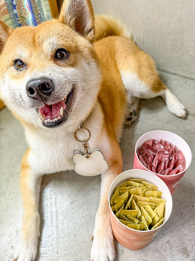 女人知己試用大隊,口碑行銷,部落客行銷,歸毛家族 Good寶寵物保健品,護心寶,視力寶,好吸收的小分子劑型,專業營養師團隊,堅持完整複方,多項國際專利認證,巴西綠蜂膠,游離型葉黃素,保持眼睛明亮,保護視力,專利蚓激酶,輔酵素Q10,幫助血液循環,心血管保健