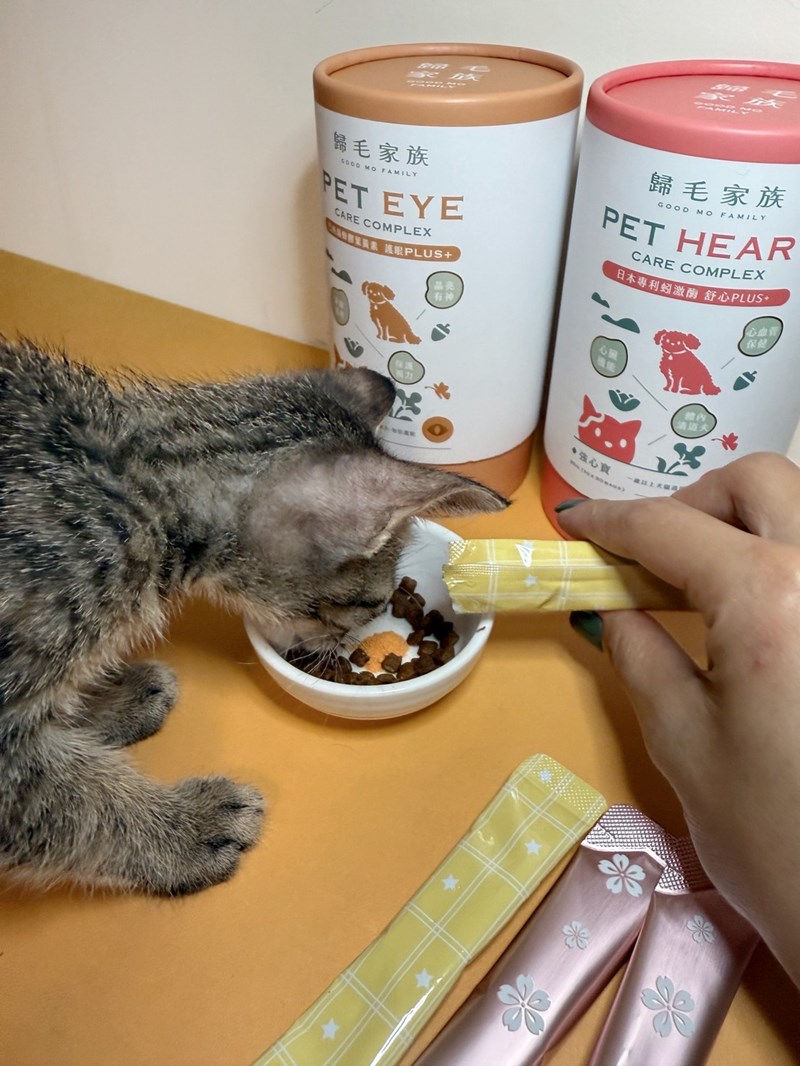 女人知己試用大隊,口碑行銷,部落客行銷,歸毛家族 Good寶寵物保健品,護心寶,視力寶,好吸收的小分子劑型,專業營養師團隊,堅持完整複方,多項國際專利認證,巴西綠蜂膠,游離型葉黃素,保持眼睛明亮,保護視力,專利蚓激酶,輔酵素Q10,幫助血液循環,心血管保健