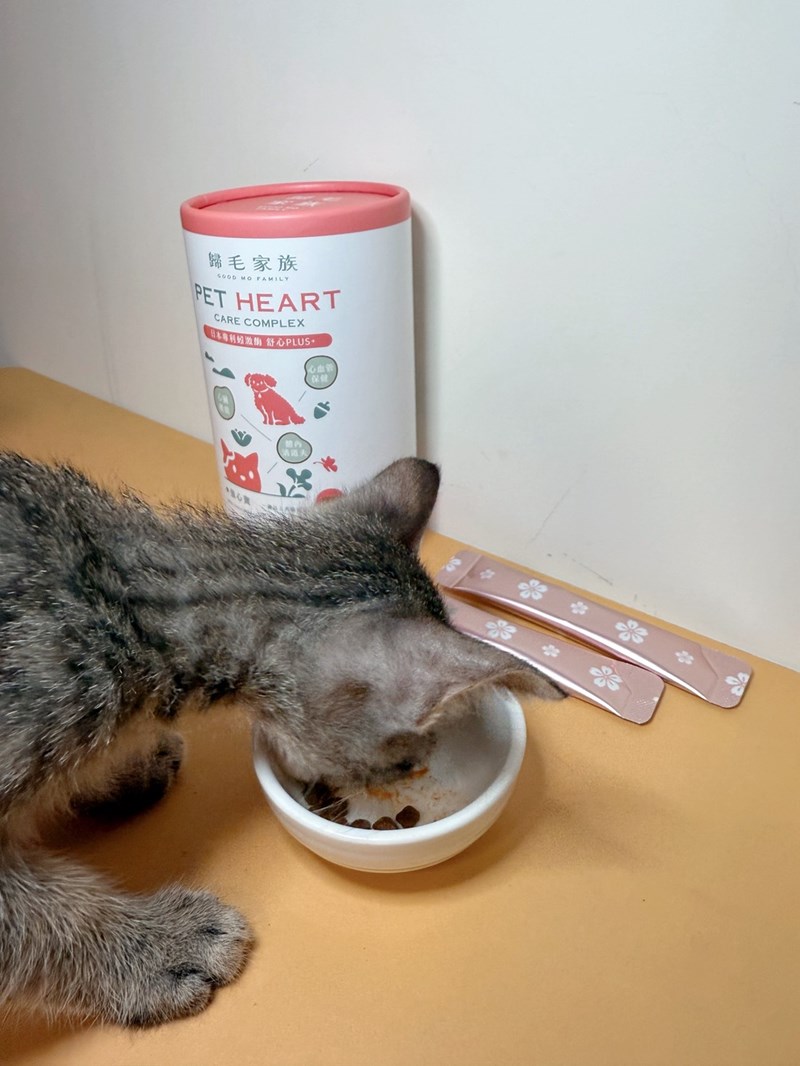 女人知己試用大隊,口碑行銷,部落客行銷,歸毛家族 Good寶寵物保健品,護心寶,視力寶,好吸收的小分子劑型,專業營養師團隊,堅持完整複方,多項國際專利認證,巴西綠蜂膠,游離型葉黃素,保持眼睛明亮,保護視力,專利蚓激酶,輔酵素Q10,幫助血液循環,心血管保健