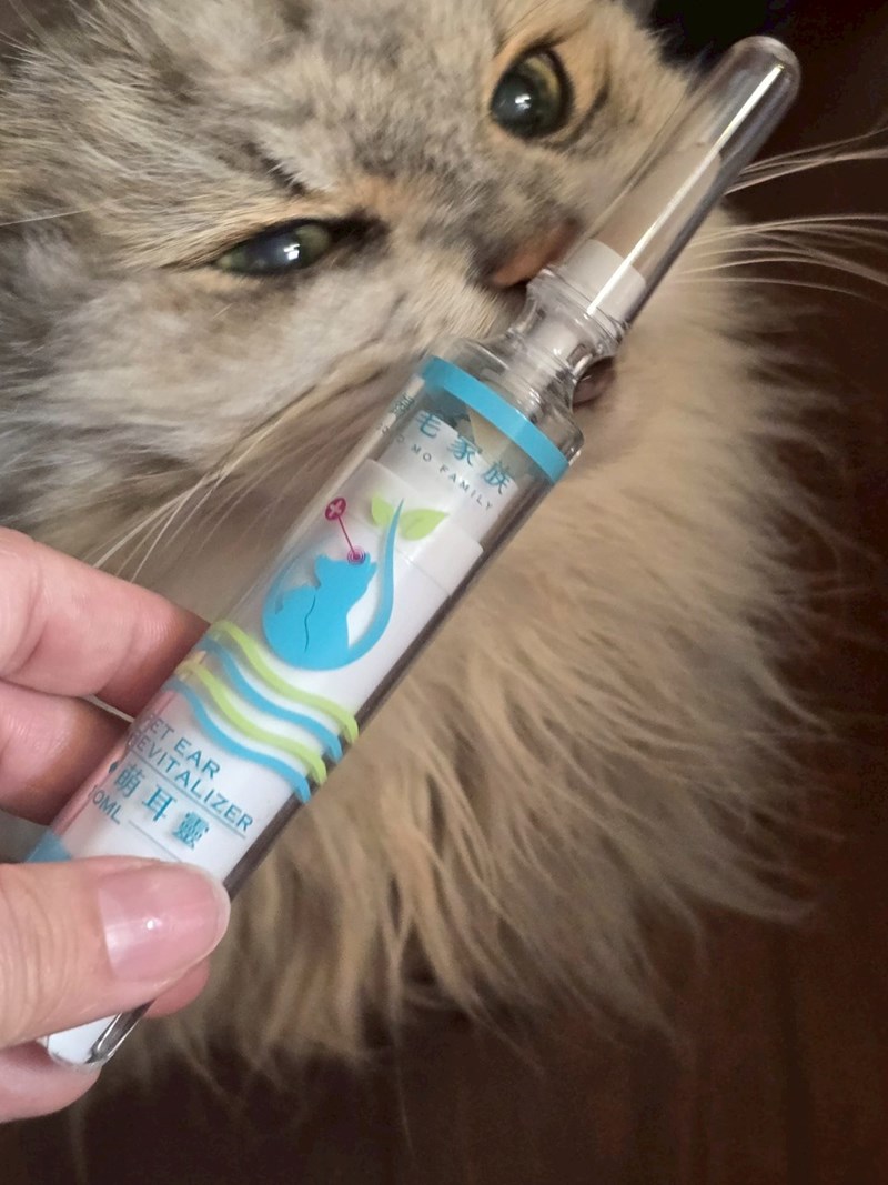 女人知己試用大隊,口碑行銷,部落客行銷,歸毛家族,歸毛家族萌耳液,歸毛家族萌耳靈,Goodmofamily歸毛家族 寵物萌耳保衛組,歸毛家族 萌耳保衛組,萌耳液,萌耳靈,精萃營養霜,耳道營養保護力,平衡耳道內油脂分泌,無抗生素,無類固醇,神經醯胺,歐盟有機認證成分,19種綜合胺基酸,榮獲SNQ國家認證,上萬毛爸媽見證,3週幫助耳道健康