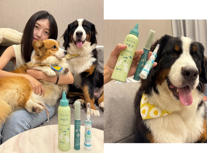 女人知己試用大隊,口碑行銷,部落客行銷,歸毛家族,歸毛家族萌耳液,歸毛家族萌耳靈,Goodmofamily歸毛家族 寵物萌耳保衛組,歸毛家族 萌耳保衛組,萌耳液,萌耳靈,精萃營養霜,耳道營養保護力,平衡耳道內油脂分泌,無抗生素,無類固醇,神經醯胺,歐盟有機認證成分,19種綜合胺基酸,榮獲SNQ國家認證,上萬毛爸媽見證,3週幫助耳道健康