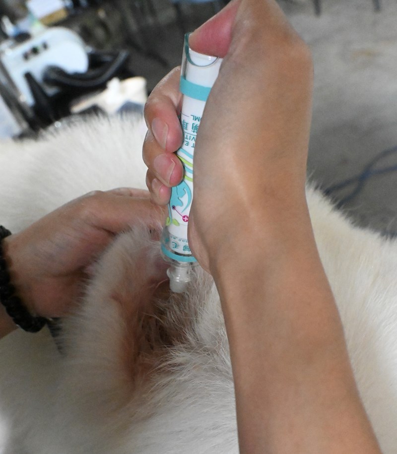 女人知己試用大隊,口碑行銷,部落客行銷,歸毛家族,歸毛家族萌耳液,歸毛家族萌耳靈,Goodmofamily歸毛家族 寵物萌耳保衛組,歸毛家族 萌耳保衛組,萌耳液,萌耳靈,精萃營養霜,耳道營養保護力,平衡耳道內油脂分泌,無抗生素,無類固醇,神經醯胺,歐盟有機認證成分,19種綜合胺基酸,榮獲SNQ國家認證,上萬毛爸媽見證,3週幫助耳道健康