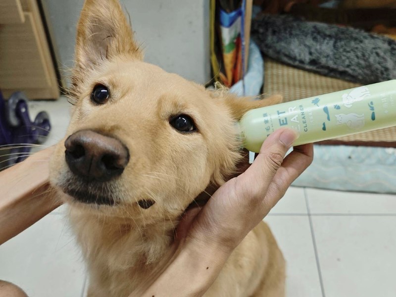 女人知己試用大隊,口碑行銷,部落客行銷,歸毛家族,歸毛家族萌耳液,歸毛家族萌耳靈,Goodmofamily歸毛家族 寵物萌耳保衛組,歸毛家族 萌耳保衛組,萌耳液,萌耳靈,精萃營養霜,耳道營養保護力,平衡耳道內油脂分泌,無抗生素,無類固醇,神經醯胺,歐盟有機認證成分,19種綜合胺基酸,榮獲SNQ國家認證,上萬毛爸媽見證,3週幫助耳道健康