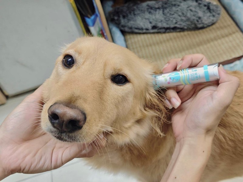 女人知己試用大隊,口碑行銷,部落客行銷,歸毛家族,歸毛家族萌耳液,歸毛家族萌耳靈,Goodmofamily歸毛家族 寵物萌耳保衛組,歸毛家族 萌耳保衛組,萌耳液,萌耳靈,精萃營養霜,耳道營養保護力,平衡耳道內油脂分泌,無抗生素,無類固醇,神經醯胺,歐盟有機認證成分,19種綜合胺基酸,榮獲SNQ國家認證,上萬毛爸媽見證,3週幫助耳道健康