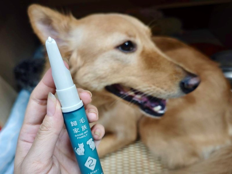 女人知己試用大隊,口碑行銷,部落客行銷,歸毛家族,歸毛家族萌耳液,歸毛家族萌耳靈,Goodmofamily歸毛家族 寵物萌耳保衛組,歸毛家族 萌耳保衛組,萌耳液,萌耳靈,精萃營養霜,耳道營養保護力,平衡耳道內油脂分泌,無抗生素,無類固醇,神經醯胺,歐盟有機認證成分,19種綜合胺基酸,榮獲SNQ國家認證,上萬毛爸媽見證,3週幫助耳道健康