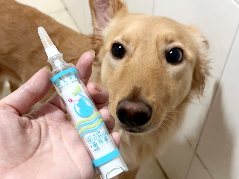 女人知己試用大隊,口碑行銷,部落客行銷,歸毛家族,歸毛家族萌耳液,歸毛家族萌耳靈,Goodmofamily歸毛家族 寵物萌耳保衛組,歸毛家族 萌耳保衛組,萌耳液,萌耳靈,精萃營養霜,耳道營養保護力,平衡耳道內油脂分泌,無抗生素,無類固醇,神經醯胺,歐盟有機認證成分,19種綜合胺基酸,榮獲SNQ國家認證,上萬毛爸媽見證,3週幫助耳道健康