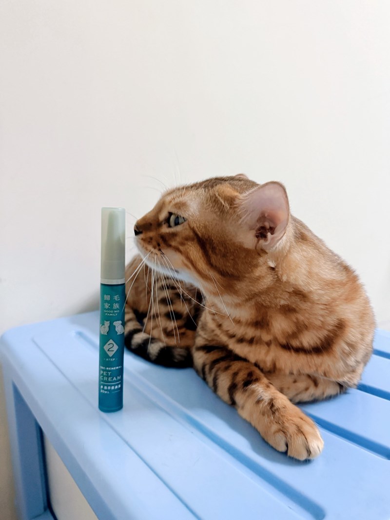 女人知己試用大隊,口碑行銷,部落客行銷,歸毛家族,歸毛家族萌耳液,歸毛家族萌耳靈,Goodmofamily歸毛家族 寵物萌耳保衛組,歸毛家族 萌耳保衛組,萌耳液,萌耳靈,精萃營養霜,耳道營養保護力,平衡耳道內油脂分泌,無抗生素,無類固醇,神經醯胺,歐盟有機認證成分,19種綜合胺基酸,榮獲SNQ國家認證,上萬毛爸媽見證,3週幫助耳道健康