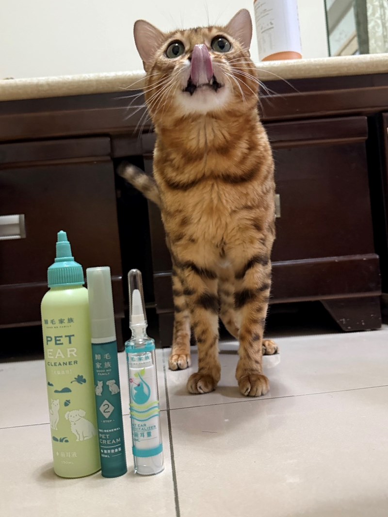 女人知己試用大隊,口碑行銷,部落客行銷,歸毛家族,歸毛家族萌耳液,歸毛家族萌耳靈,Goodmofamily歸毛家族 寵物萌耳保衛組,歸毛家族 萌耳保衛組,萌耳液,萌耳靈,精萃營養霜,耳道營養保護力,平衡耳道內油脂分泌,無抗生素,無類固醇,神經醯胺,歐盟有機認證成分,19種綜合胺基酸,榮獲SNQ國家認證,上萬毛爸媽見證,3週幫助耳道健康