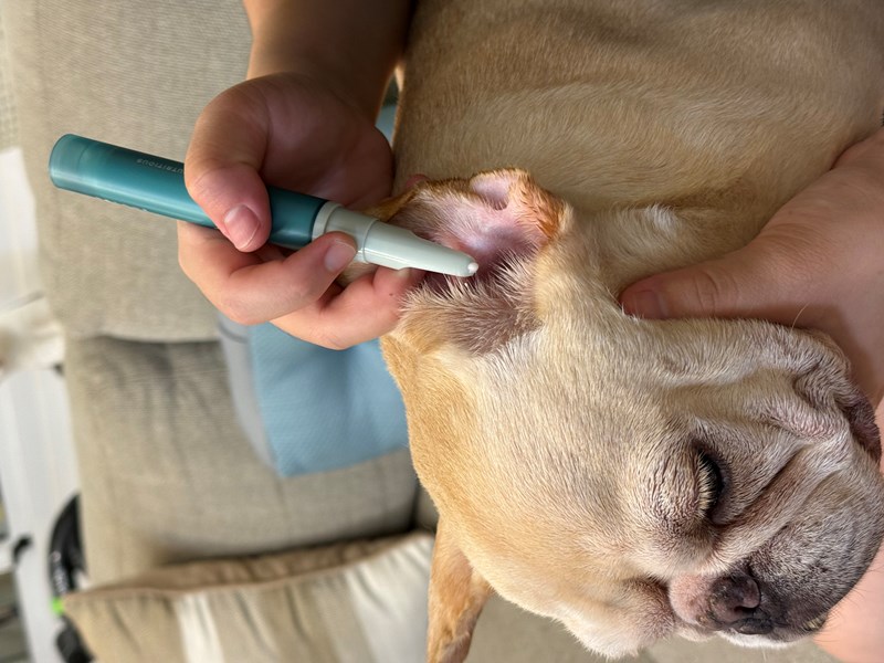 女人知己試用大隊,口碑行銷,部落客行銷,歸毛家族,歸毛家族萌耳液,歸毛家族萌耳靈,Goodmofamily歸毛家族 寵物萌耳保衛組,歸毛家族 萌耳保衛組,萌耳液,萌耳靈,精萃營養霜,耳道營養保護力,平衡耳道內油脂分泌,無抗生素,無類固醇,神經醯胺,歐盟有機認證成分,19種綜合胺基酸,榮獲SNQ國家認證,上萬毛爸媽見證,3週幫助耳道健康