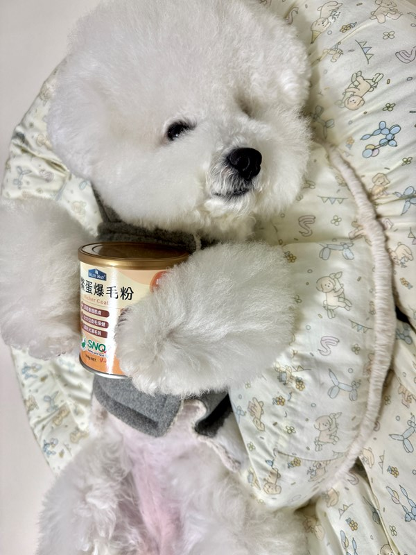 女人知己試用大隊,口碑行銷,部落客行銷,bluebay倍力鱉蛋爆毛養膚粉,倍力鱉蛋粉,鱉蛋粉推薦,養毛粉,換季掉毛,爆毛滑順,皮毛搔癢,鱉蛋粉皮膚,老狗鱉蛋粉,貓咪鱉蛋粉,搔抓,貓皮膚病/貓癬,皮膚保健,皮毛保健