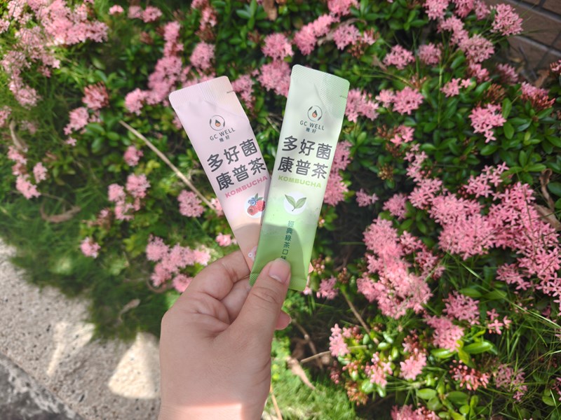 試用