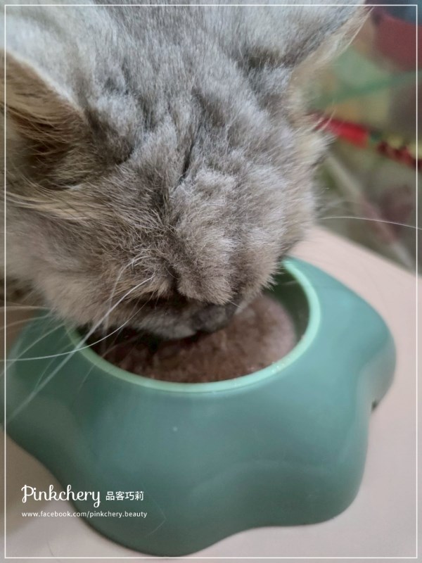 女人知己試用大隊,口碑行銷,部落客行銷,來自純淨自然無汙染的紐西蘭,自然主食罐,GHR 健康主義,GHR,貓用主食罐,貓罐,GHR貓用無穀主食罐,雞肉蔓越莓配方,鹿肉雞肉配方,牛羊加雞配方,刷尾負鼠肉雞肉配方,評價,口碑,適口性佳,心得,紐西蘭GHR,罐頭,貓咪,牛磺酸,軟骨素,維生素關節保健