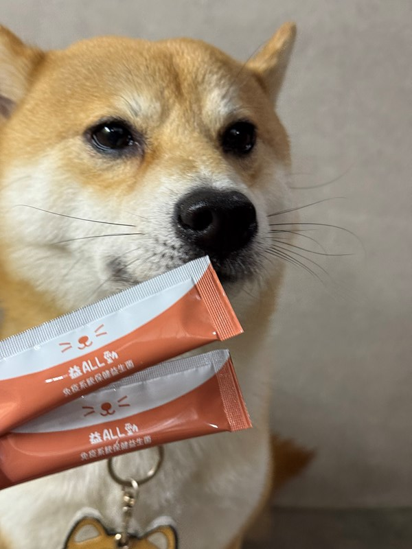 女人知己試用大隊,口碑行銷,部落客行銷,維舒康益生菌系列,維舒康,益生菌,後生元,益ALL勁,益FU勁,益CO勁,免疫保健,皮膚保健,口腔腸道保健