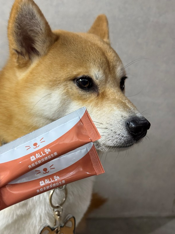 女人知己試用大隊,口碑行銷,部落客行銷,維舒康益生菌系列,維舒康,益生菌,後生元,益ALL勁,益FU勁,益CO勁,免疫保健,皮膚保健,口腔腸道保健