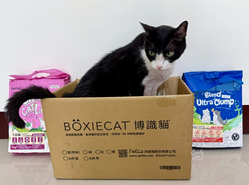 [寵物] CuzCat卡滋貓【三合一極速凝結配方＆沸石除臭抗