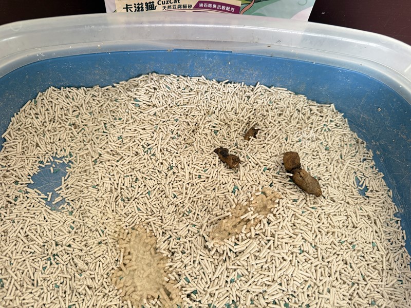 [寵物] CuzCat卡滋貓【三合一極速凝結配方＆沸石除臭抗