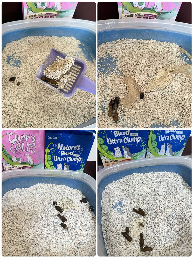 [寵物] CuzCat卡滋貓【三合一極速凝結配方＆沸石除臭抗