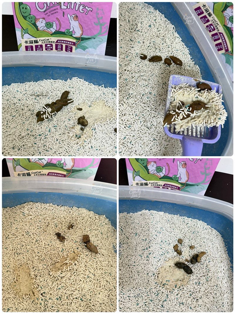 [寵物] CuzCat卡滋貓【三合一極速凝結配方＆沸石除臭抗