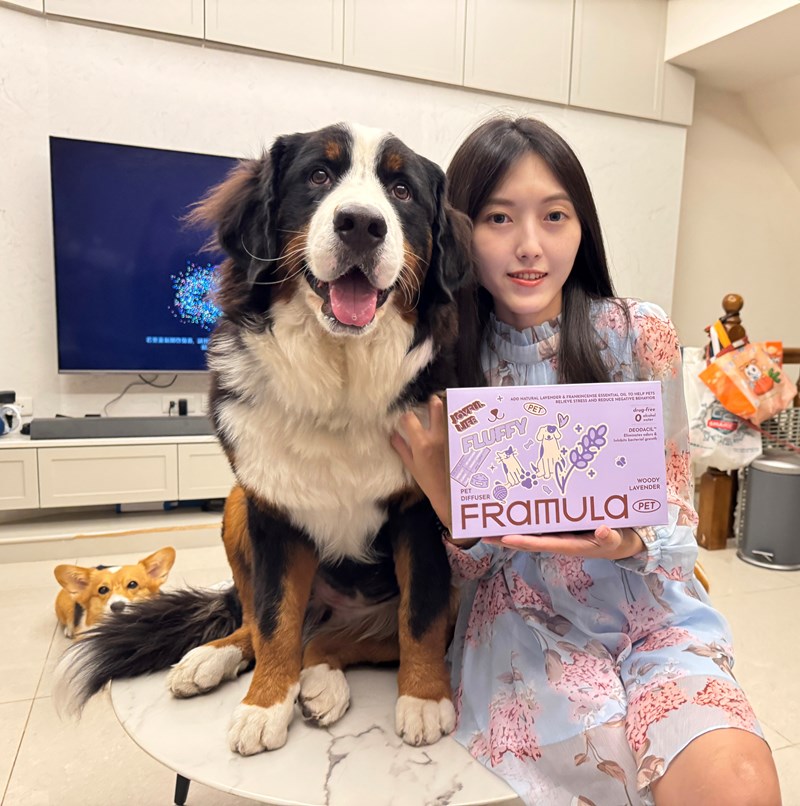 女人知己試用大隊,口碑行銷,部落客行銷,FRAMULA芬乘 寵物香氛儀套裝組,寵物香氛儀,芬乘FRAMULA,寵物去味神器,寵物環保香氛,精油香氛,無酒精香氛儀,寵物異味控制,高質感香氛儀,毛孩居家香氛,低音靜音香氛機,毛孩精緻生活