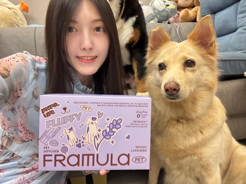 女人知己試用大隊,口碑行銷,部落客行銷,FRAMULA芬乘 寵物香氛儀套裝組,寵物香氛儀,芬乘FRAMULA,寵物去味神器,寵物環保香氛,精油香氛,無酒精香氛儀,寵物異味控制,高質感香氛儀,毛孩居家香氛,低音靜音香氛機,毛孩精緻生活