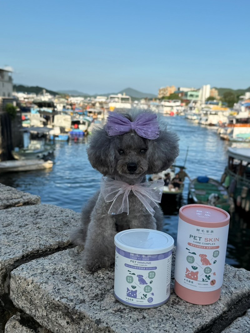 女人知己試用大隊,口碑行銷,部落客行銷,Goodmofamily歸毛家族 Good寶系列寵物保健品,歸毛家族Good寶系列寵物保健品,美膚寶,免疫寶,專利雙效益菌累積達140項認證,法國初乳蛋白,美國專利魚油粉,針對五臟六腑全面打底,維持免疫力,維持抵抗力,專利水溶蝦紅素,抗氧化之王,無毒養殖去殼鱉蛋粉,富含卵磷脂,好吸收的小分子劑型,堅持完整複方,多項國際專利認證,專業營養師團隊