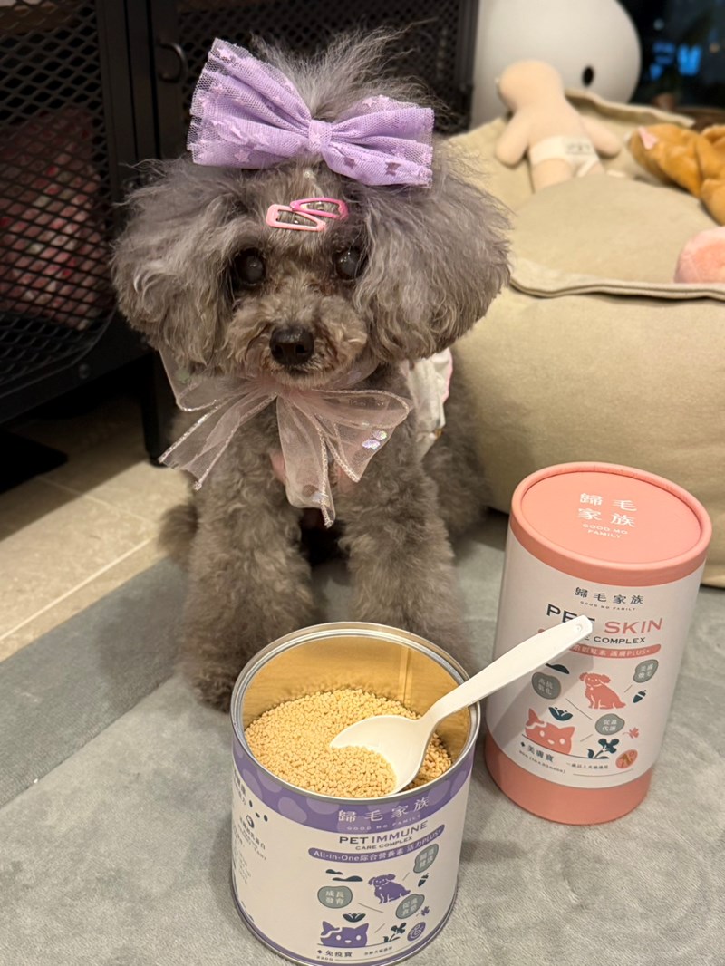 女人知己試用大隊,口碑行銷,部落客行銷,Goodmofamily歸毛家族 Good寶系列寵物保健品,歸毛家族Good寶系列寵物保健品,美膚寶,免疫寶,專利雙效益菌累積達140項認證,法國初乳蛋白,美國專利魚油粉,針對五臟六腑全面打底,維持免疫力,維持抵抗力,專利水溶蝦紅素,抗氧化之王,無毒養殖去殼鱉蛋粉,富含卵磷脂,好吸收的小分子劑型,堅持完整複方,多項國際專利認證,專業營養師團隊