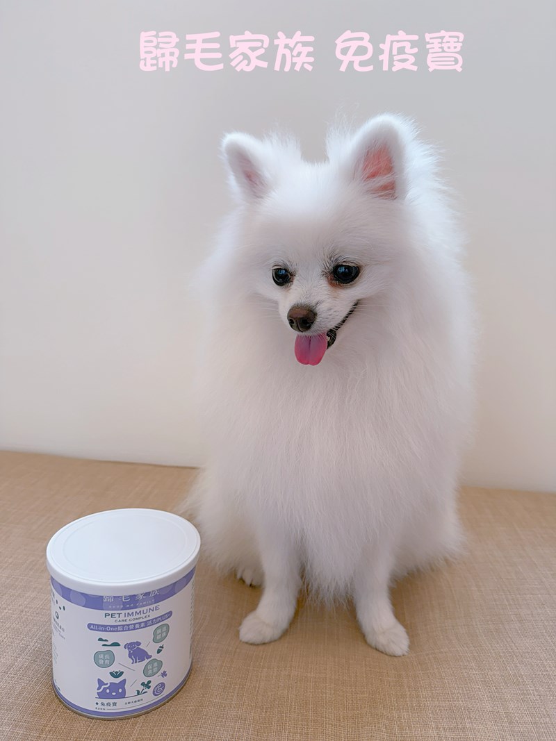 女人知己試用大隊,口碑行銷,部落客行銷,Goodmofamily歸毛家族 Good寶系列寵物保健品,歸毛家族Good寶系列寵物保健品,美膚寶,免疫寶,專利雙效益菌累積達140項認證,法國初乳蛋白,美國專利魚油粉,針對五臟六腑全面打底,維持免疫力,維持抵抗力,專利水溶蝦紅素,抗氧化之王,無毒養殖去殼鱉蛋粉,富含卵磷脂,好吸收的小分子劑型,堅持完整複方,多項國際專利認證,專業營養師團隊