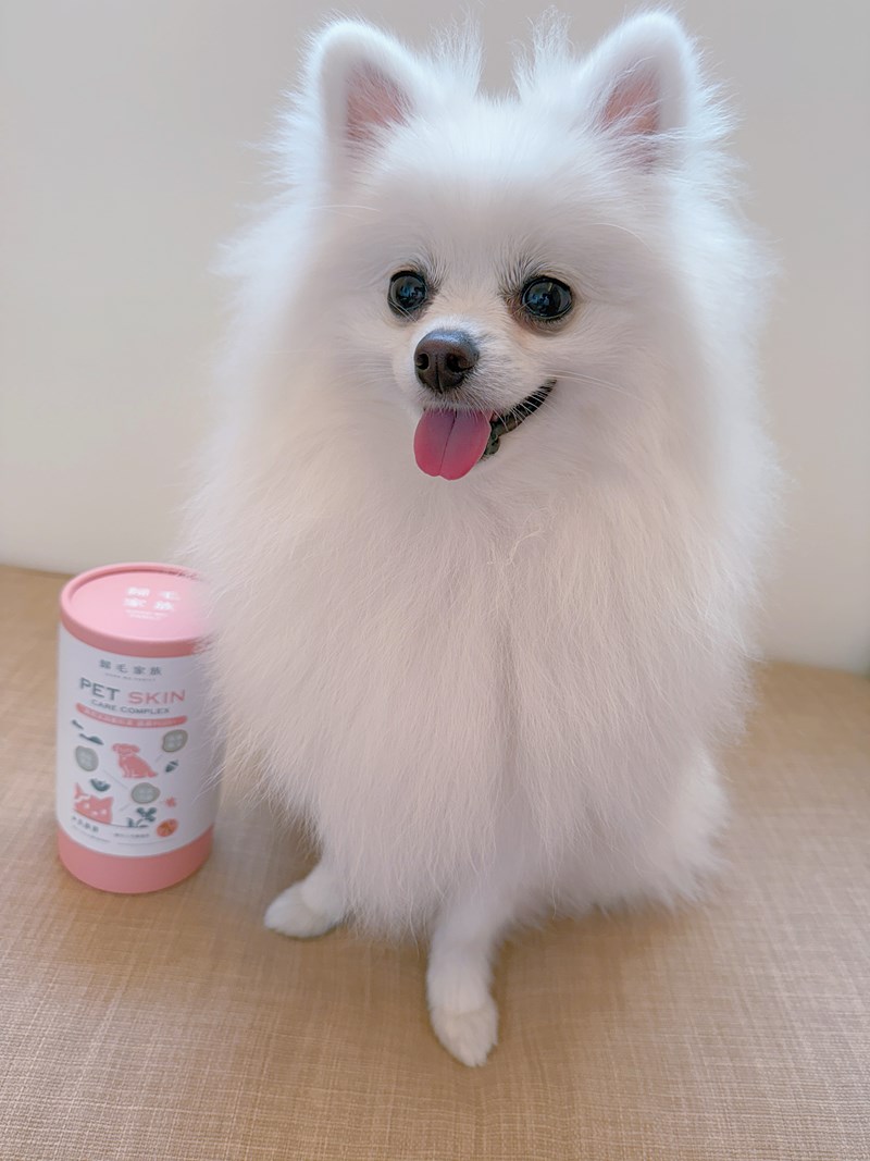 女人知己試用大隊,口碑行銷,部落客行銷,Goodmofamily歸毛家族 Good寶系列寵物保健品,歸毛家族Good寶系列寵物保健品,美膚寶,免疫寶,專利雙效益菌累積達140項認證,法國初乳蛋白,美國專利魚油粉,針對五臟六腑全面打底,維持免疫力,維持抵抗力,專利水溶蝦紅素,抗氧化之王,無毒養殖去殼鱉蛋粉,富含卵磷脂,好吸收的小分子劑型,堅持完整複方,多項國際專利認證,專業營養師團隊