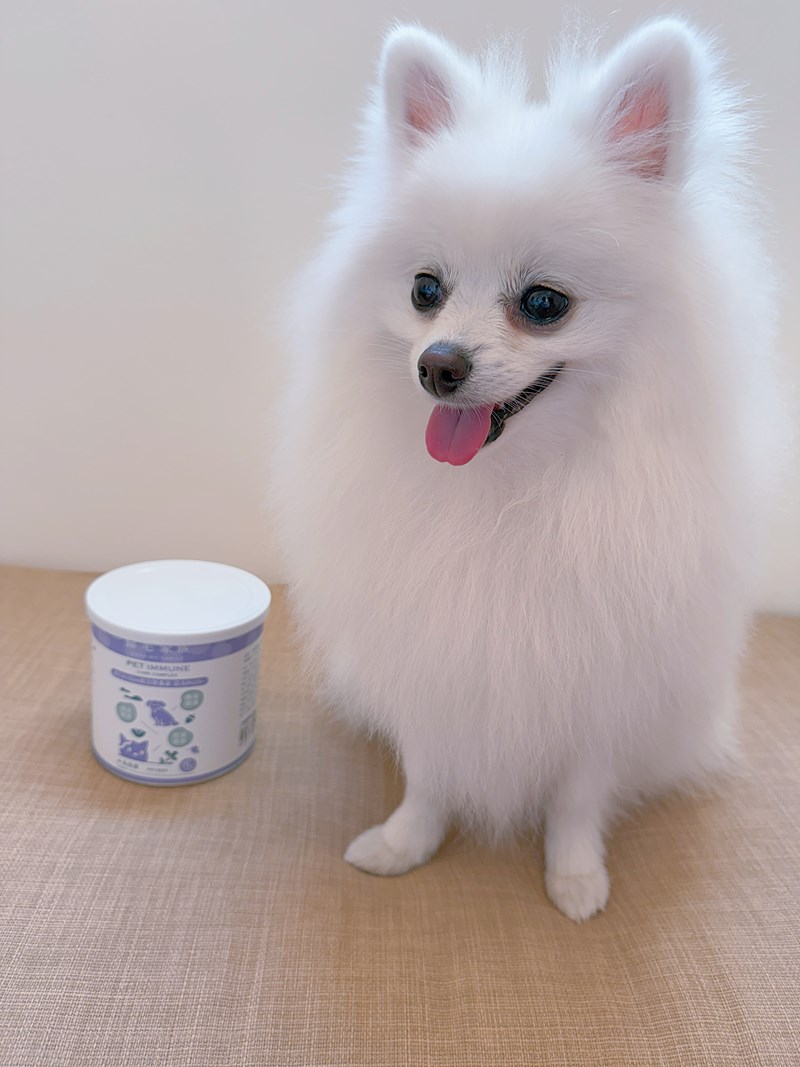 女人知己試用大隊,口碑行銷,部落客行銷,Goodmofamily歸毛家族 Good寶系列寵物保健品,歸毛家族Good寶系列寵物保健品,美膚寶,免疫寶,專利雙效益菌累積達140項認證,法國初乳蛋白,美國專利魚油粉,針對五臟六腑全面打底,維持免疫力,維持抵抗力,專利水溶蝦紅素,抗氧化之王,無毒養殖去殼鱉蛋粉,富含卵磷脂,好吸收的小分子劑型,堅持完整複方,多項國際專利認證,專業營養師團隊