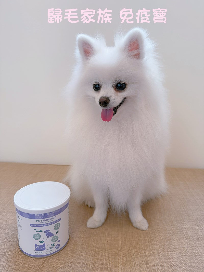 女人知己試用大隊,口碑行銷,部落客行銷,Goodmofamily歸毛家族 Good寶系列寵物保健品,歸毛家族Good寶系列寵物保健品,美膚寶,免疫寶,專利雙效益菌累積達140項認證,法國初乳蛋白,美國專利魚油粉,針對五臟六腑全面打底,維持免疫力,維持抵抗力,專利水溶蝦紅素,抗氧化之王,無毒養殖去殼鱉蛋粉,富含卵磷脂,好吸收的小分子劑型,堅持完整複方,多項國際專利認證,專業營養師團隊