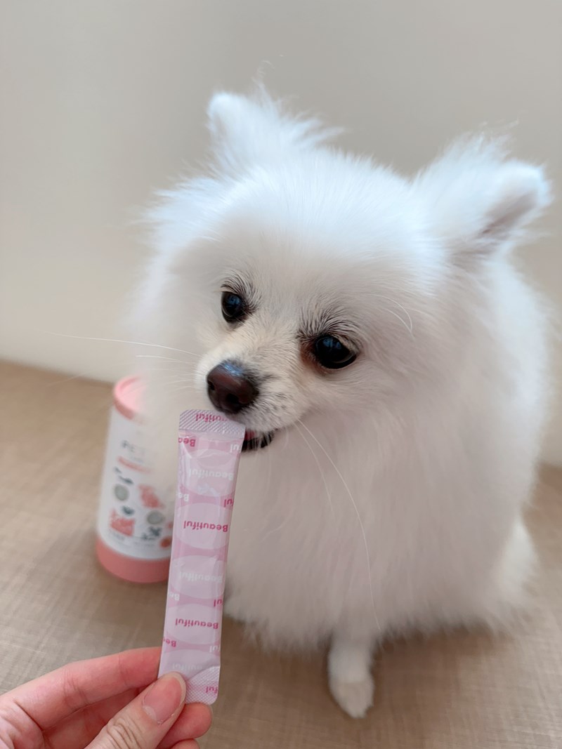 女人知己試用大隊,口碑行銷,部落客行銷,Goodmofamily歸毛家族 Good寶系列寵物保健品,歸毛家族Good寶系列寵物保健品,美膚寶,免疫寶,專利雙效益菌累積達140項認證,法國初乳蛋白,美國專利魚油粉,針對五臟六腑全面打底,維持免疫力,維持抵抗力,專利水溶蝦紅素,抗氧化之王,無毒養殖去殼鱉蛋粉,富含卵磷脂,好吸收的小分子劑型,堅持完整複方,多項國際專利認證,專業營養師團隊