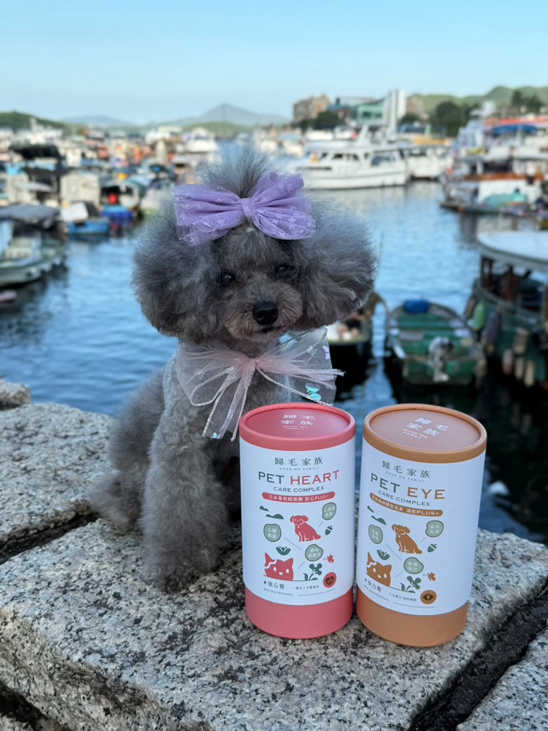 女人知己試用大隊,口碑行銷,部落客行銷,歸毛家族 Good寶寵物保健品,護心寶,視力寶,好吸收的小分子劑型,專業營養師團隊,堅持完整複方,多項國際專利認證,巴西綠蜂膠,游離型葉黃素,保持眼睛明亮,保護視力,專利蚓激酶,輔酵素Q10,幫助血液循環,心血管保健