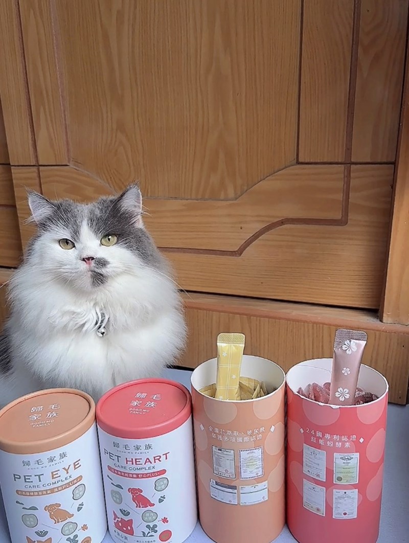 女人知己試用大隊,口碑行銷,部落客行銷,歸毛家族 Good寶寵物保健品,護心寶,視力寶,好吸收的小分子劑型,專業營養師團隊,堅持完整複方,多項國際專利認證,巴西綠蜂膠,游離型葉黃素,保持眼睛明亮,保護視力,專利蚓激酶,輔酵素Q10,幫助血液循環,心血管保健