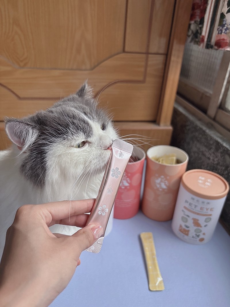 女人知己試用大隊,口碑行銷,部落客行銷,歸毛家族 Good寶寵物保健品,護心寶,視力寶,好吸收的小分子劑型,專業營養師團隊,堅持完整複方,多項國際專利認證,巴西綠蜂膠,游離型葉黃素,保持眼睛明亮,保護視力,專利蚓激酶,輔酵素Q10,幫助血液循環,心血管保健