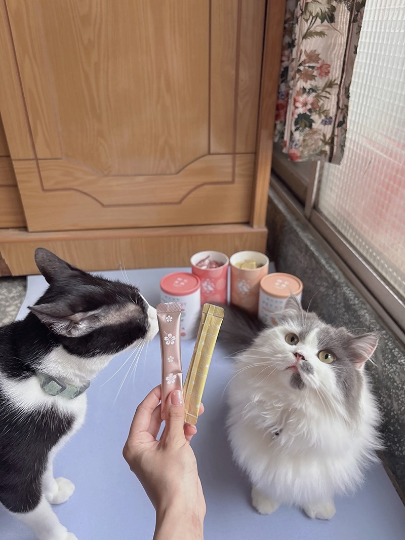 女人知己試用大隊,口碑行銷,部落客行銷,歸毛家族 Good寶寵物保健品,護心寶,視力寶,好吸收的小分子劑型,專業營養師團隊,堅持完整複方,多項國際專利認證,巴西綠蜂膠,游離型葉黃素,保持眼睛明亮,保護視力,專利蚓激酶,輔酵素Q10,幫助血液循環,心血管保健