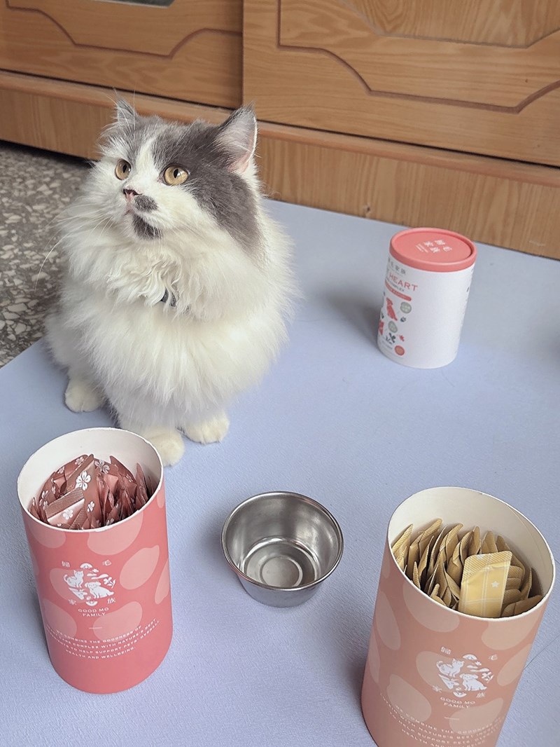 女人知己試用大隊,口碑行銷,部落客行銷,歸毛家族 Good寶寵物保健品,護心寶,視力寶,好吸收的小分子劑型,專業營養師團隊,堅持完整複方,多項國際專利認證,巴西綠蜂膠,游離型葉黃素,保持眼睛明亮,保護視力,專利蚓激酶,輔酵素Q10,幫助血液循環,心血管保健