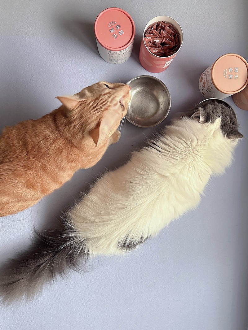 女人知己試用大隊,口碑行銷,部落客行銷,歸毛家族 Good寶寵物保健品,護心寶,視力寶,好吸收的小分子劑型,專業營養師團隊,堅持完整複方,多項國際專利認證,巴西綠蜂膠,游離型葉黃素,保持眼睛明亮,保護視力,專利蚓激酶,輔酵素Q10,幫助血液循環,心血管保健