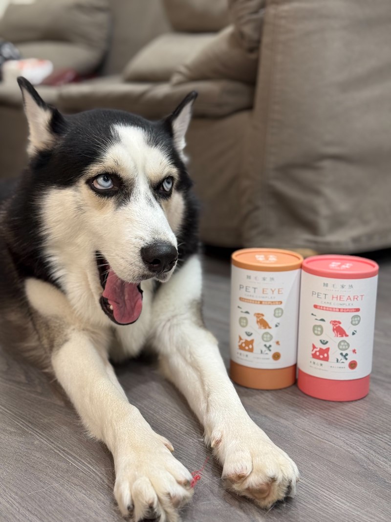 女人知己試用大隊,口碑行銷,部落客行銷,歸毛家族 Good寶寵物保健品,護心寶,視力寶,好吸收的小分子劑型,專業營養師團隊,堅持完整複方,多項國際專利認證,巴西綠蜂膠,游離型葉黃素,保持眼睛明亮,保護視力,專利蚓激酶,輔酵素Q10,幫助血液循環,心血管保健