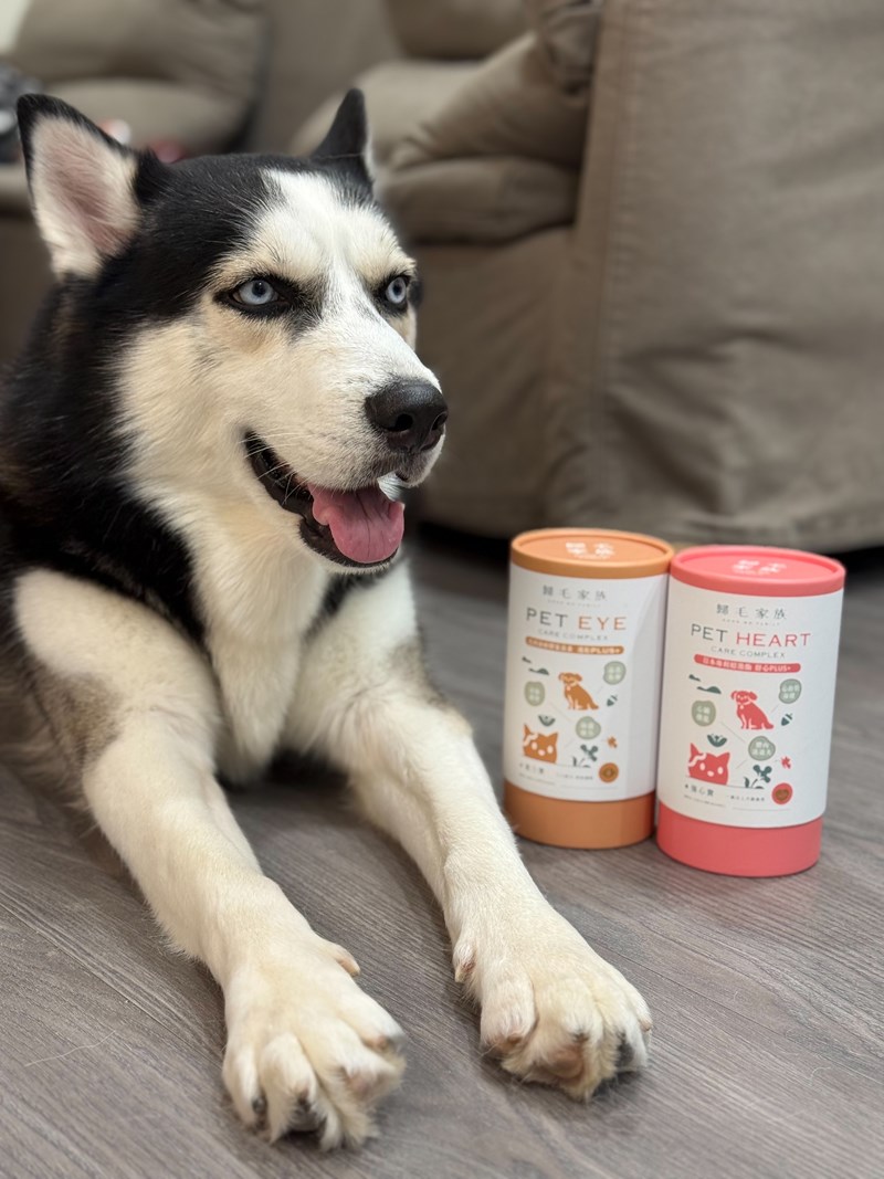 女人知己試用大隊,口碑行銷,部落客行銷,歸毛家族 Good寶寵物保健品,護心寶,視力寶,好吸收的小分子劑型,專業營養師團隊,堅持完整複方,多項國際專利認證,巴西綠蜂膠,游離型葉黃素,保持眼睛明亮,保護視力,專利蚓激酶,輔酵素Q10,幫助血液循環,心血管保健