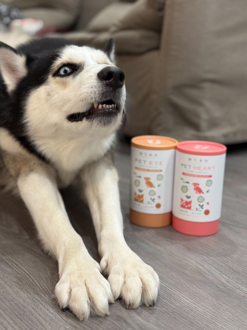 女人知己試用大隊,口碑行銷,部落客行銷,歸毛家族 Good寶寵物保健品,護心寶,視力寶,好吸收的小分子劑型,專業營養師團隊,堅持完整複方,多項國際專利認證,巴西綠蜂膠,游離型葉黃素,保持眼睛明亮,保護視力,專利蚓激酶,輔酵素Q10,幫助血液循環,心血管保健