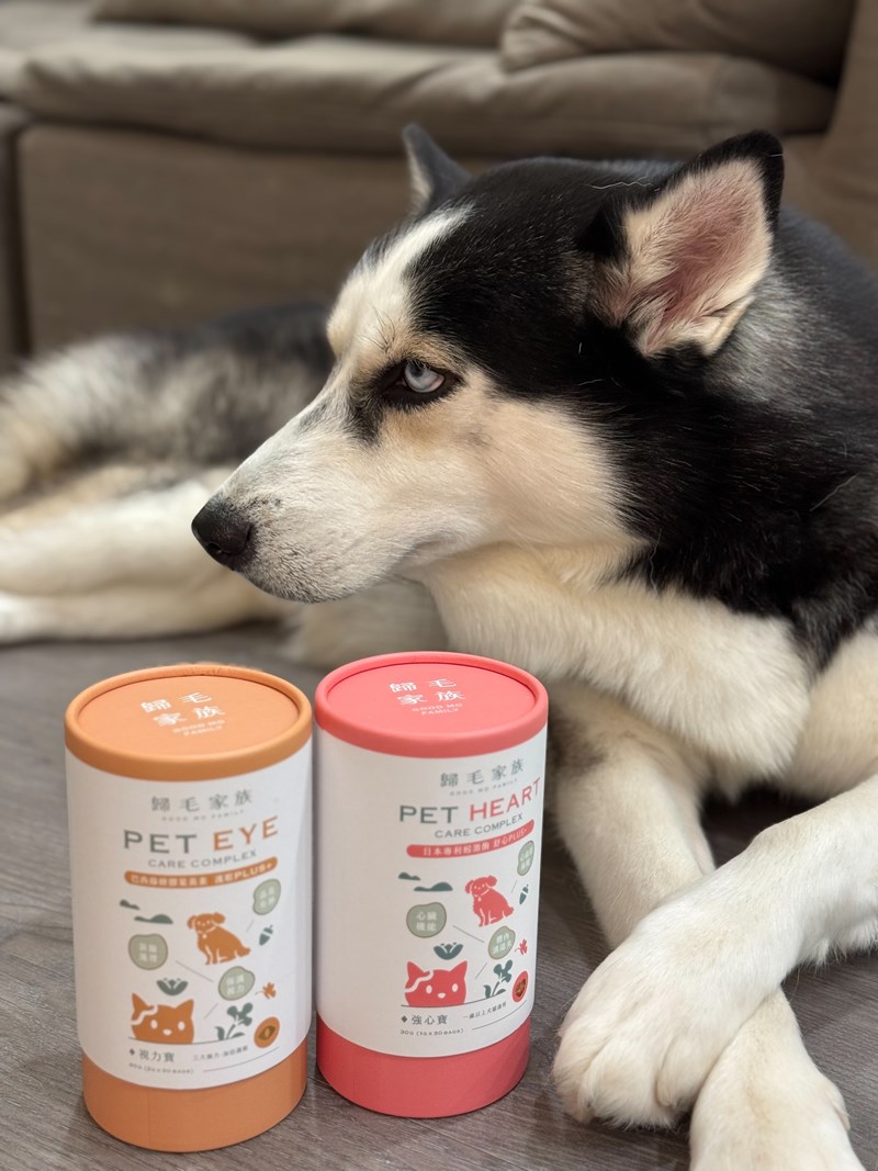 女人知己試用大隊,口碑行銷,部落客行銷,歸毛家族 Good寶寵物保健品,護心寶,視力寶,好吸收的小分子劑型,專業營養師團隊,堅持完整複方,多項國際專利認證,巴西綠蜂膠,游離型葉黃素,保持眼睛明亮,保護視力,專利蚓激酶,輔酵素Q10,幫助血液循環,心血管保健