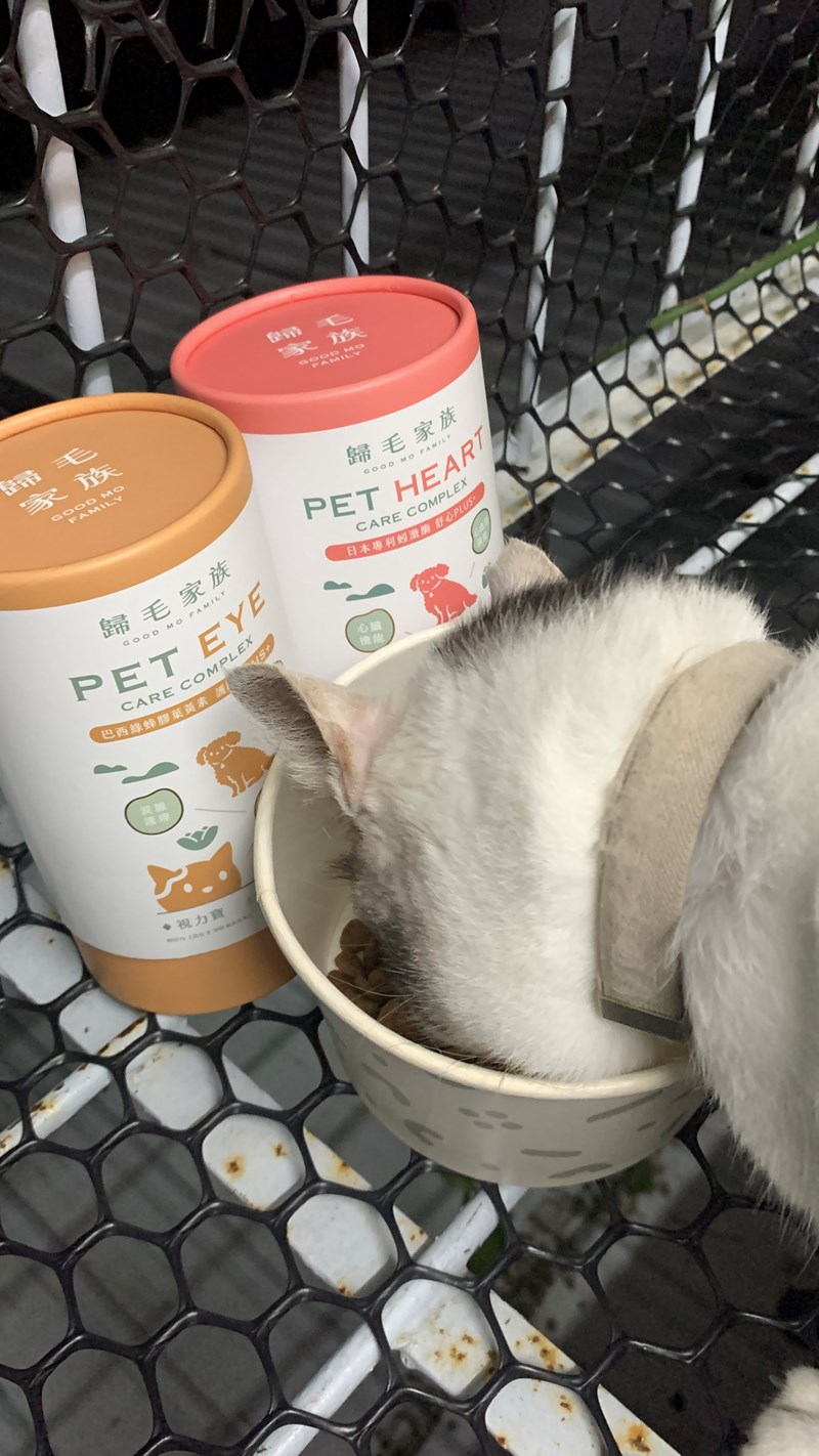 女人知己試用大隊,口碑行銷,部落客行銷,歸毛家族 Good寶寵物保健品,護心寶,視力寶,好吸收的小分子劑型,專業營養師團隊,堅持完整複方,多項國際專利認證,巴西綠蜂膠,游離型葉黃素,保持眼睛明亮,保護視力,專利蚓激酶,輔酵素Q10,幫助血液循環,心血管保健